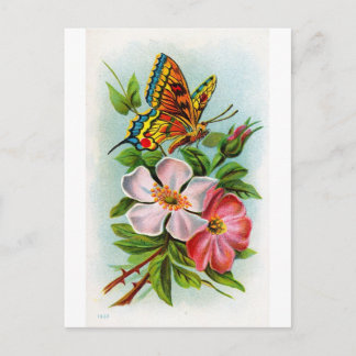 Carte Postale Rose et papillon