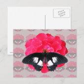 Carte Postale Rose et Swallowtail (Devant / Derrière)