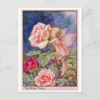 Carte Postale Rose Fairy
