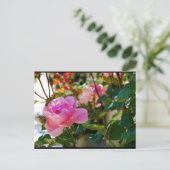 Carte Postale Rose Florale Rose (Debout devant)