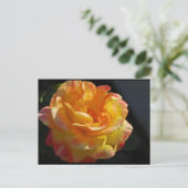 Carte Postale Rose florale rose et jaune (Debout devant)