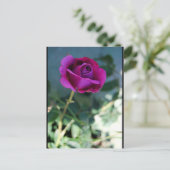 Carte Postale Rose Florale Violette (Debout devant)