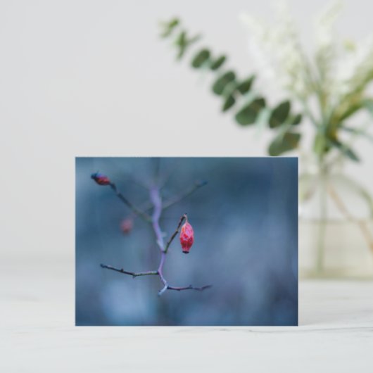 Carte Postale Rose froid (Debout devant)