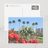 Carte Postale Rose Garden (Devant / Derrière)
