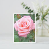 Carte Postale Rose Garden (Debout devant)