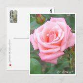 Carte Postale Rose Garden (Devant / Derrière)