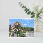 Carte Postale Rose Garden (Debout devant)