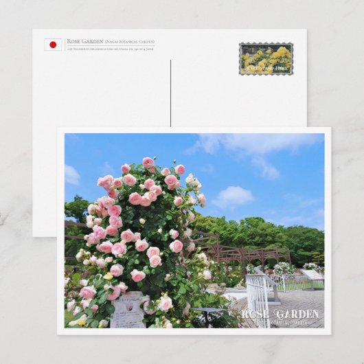 Carte Postale Rose Garden (Devant / Derrière)