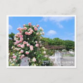 Carte Postale Rose Garden (Devant)