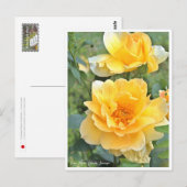 Carte Postale Rose Garden (Devant / Derrière)