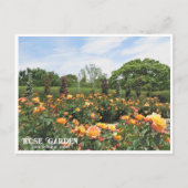 Carte Postale Rose Garden (Nagai Botanical Garden) ポストカード (Devant)