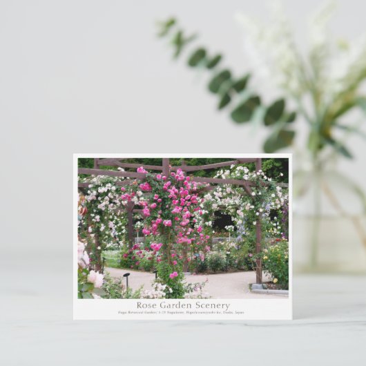 Carte Postale Rose Garden Scenery (Debout devant)