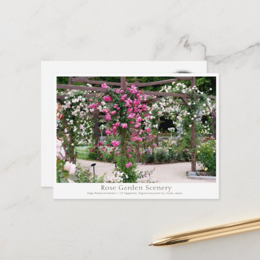 Carte Postale Rose Garden Scenery (Devant/Arrière en situation)