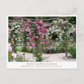 Carte Postale Rose Garden Scenery (Devant)
