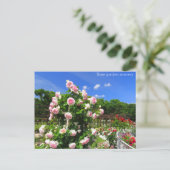 Carte Postale Rose garden scenery：Postcard (Debout devant)