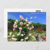 Carte Postale Rose garden scenery：Postcard (Devant / Derrière)
