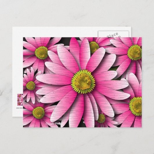 Carte postale rose Gerbera Daisy (Devant / Derrière)