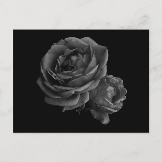 Carte Postale Rose gothique noir (Devant)
