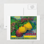 Carte Postale Rose Hill Apple Crate LabelWatsonville, CA (Devant / Derrière)