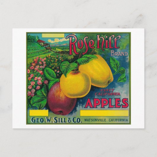 Carte Postale Rose Hill Apple Crate LabelWatsonville, CA (Devant)