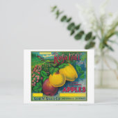 Carte Postale Rose Hill Apple Crate LabelWatsonville, CA (Debout devant)
