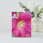 Carte postale rose Hollyhock (Debout devant)