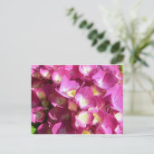 Carte postale rose Hydrangea (Debout devant)