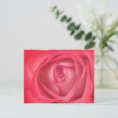 Carte postale Rose incendie et glace (Debout devant)