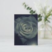 Carte Postale rose inverse (Debout devant)