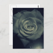 Carte Postale rose inverse (Devant / Derrière)