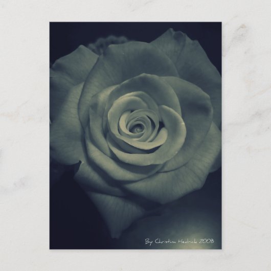 Carte Postale rose inverse (Devant)