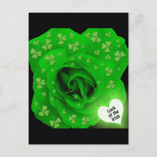 Carte Postale Rose irlandais - La chance des Irlandais