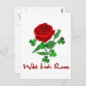 Carte Postale Rose irlandais sauvage (Devant / Derrière)