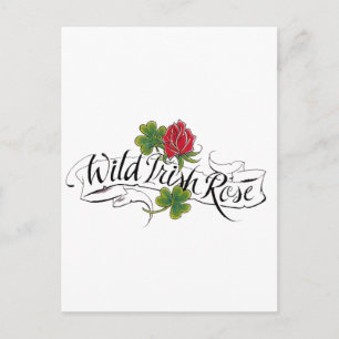 Carte Postale Rose irlandais sauvage