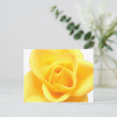 Carte Postale Rose jaune (Debout devant)