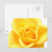 Carte Postale Rose jaune (Devant / Derrière)