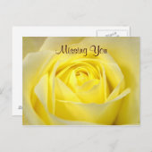 Carte postale rose jaune (Devant / Derrière)