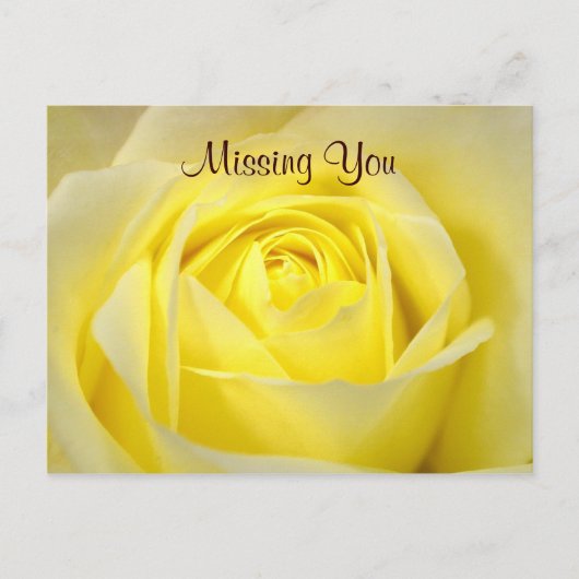 Carte postale rose jaune (Devant)