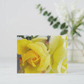 Carte Postale Rose jaune (Debout devant)