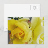 Carte Postale Rose jaune (Devant / Derrière)