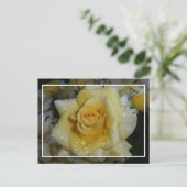 Carte Postale Rose jaune (Debout devant)
