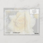 Carte Postale Rose jaune (Dos)