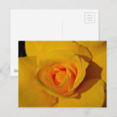 Carte Postale Rose jaune (Devant / Derrière)