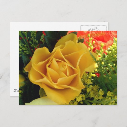 Carte Postale Rose jaune | (Devant / Derrière)