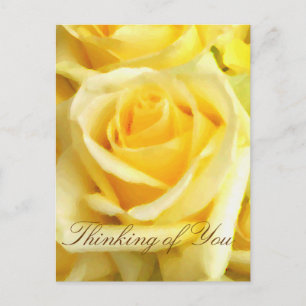 Carte Postale Rose jaune_