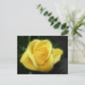 Carte Postale Rose jaune (Debout devant)