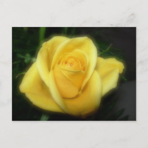 Carte Postale Rose jaune