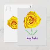 Carte Postale Rose jaune (Devant / Derrière)