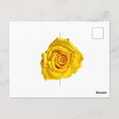 Carte Postale Rose jaune (Dos)