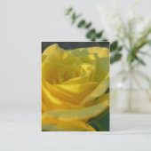 Carte Postale Rose jaune (Debout devant)